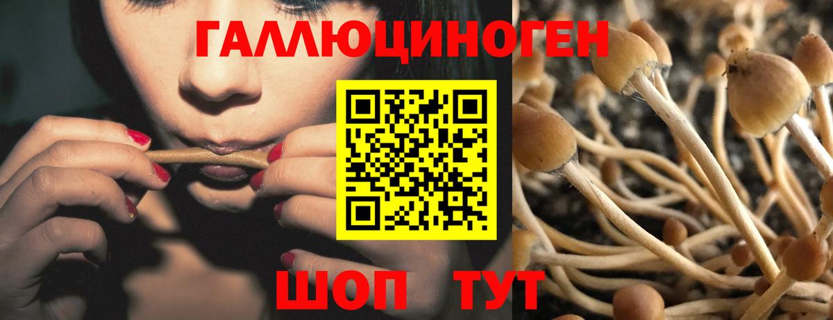 Псилоцибиновые грибы прущие грибы  сколько стоит  Новоалександровск  Вход с VPN 